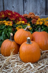 Pictures of Fall Rosanne Sax